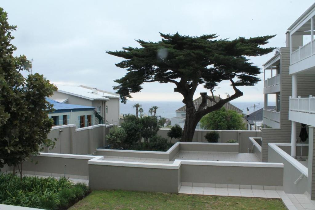 Seaforth Terrace Simonʼs Town Exteriör bild